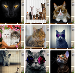 Cat Lovers shower curtains - Teeznmo