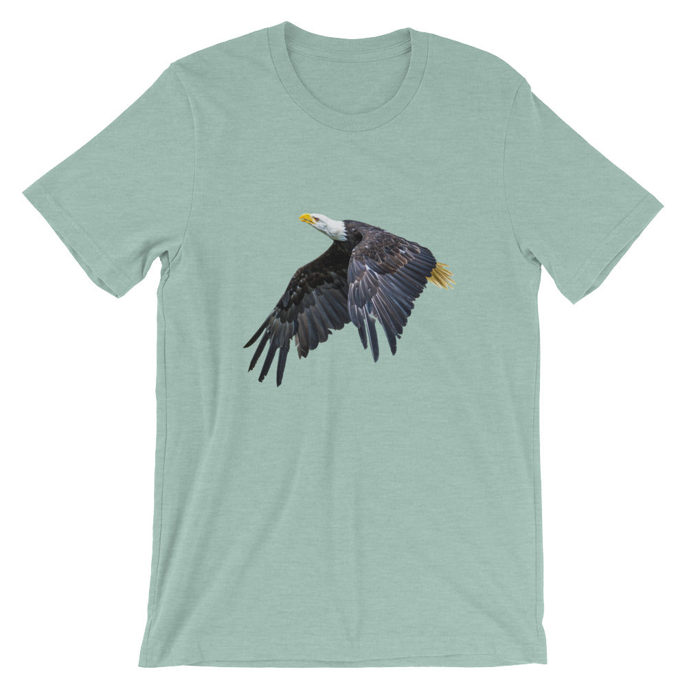 Eagle - Teeznmo