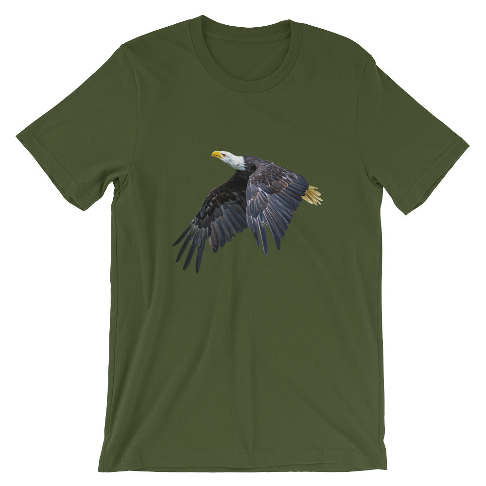 Eagle - Teeznmo