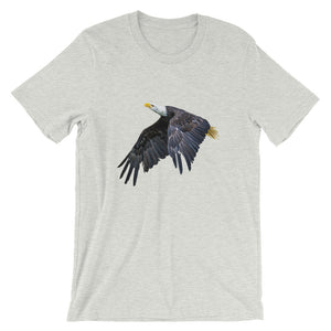 Eagle - Teeznmo