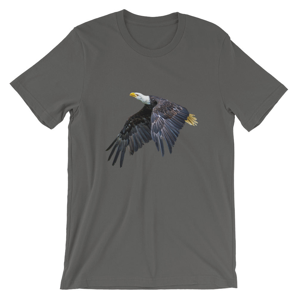 Eagle - Teeznmo