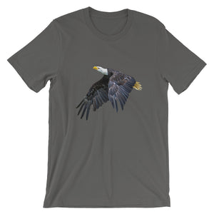 Eagle - Teeznmo