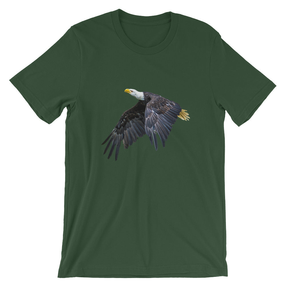 Eagle - Teeznmo