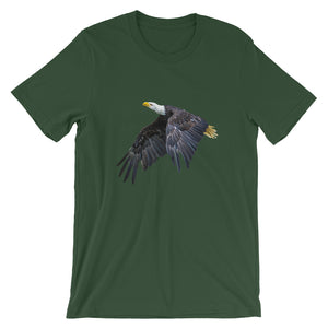 Eagle - Teeznmo