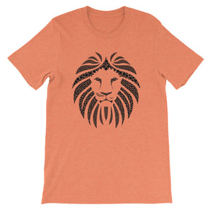Lion - Teeznmo