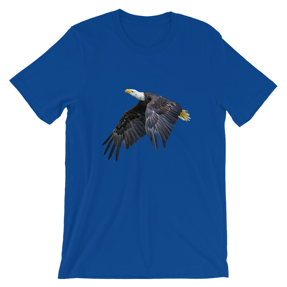 Eagle - Teeznmo
