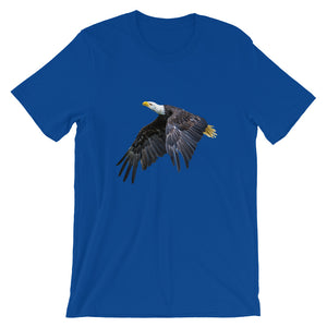 Eagle - Teeznmo