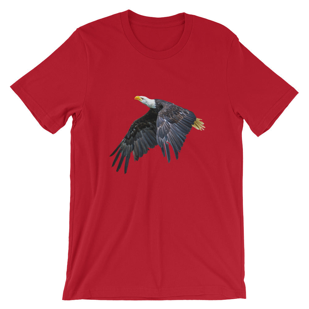 Eagle - Teeznmo