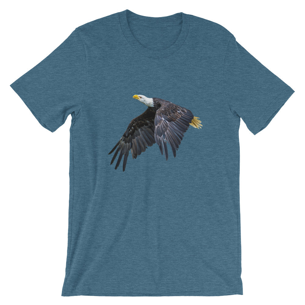 Eagle - Teeznmo