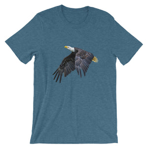 Eagle - Teeznmo