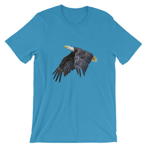Eagle - Teeznmo
