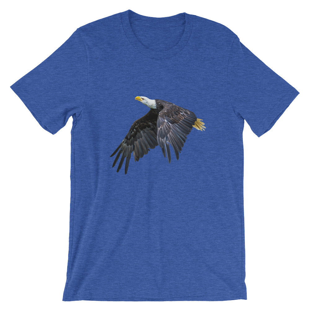 Eagle - Teeznmo