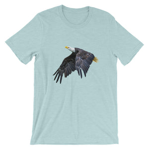 Eagle - Teeznmo