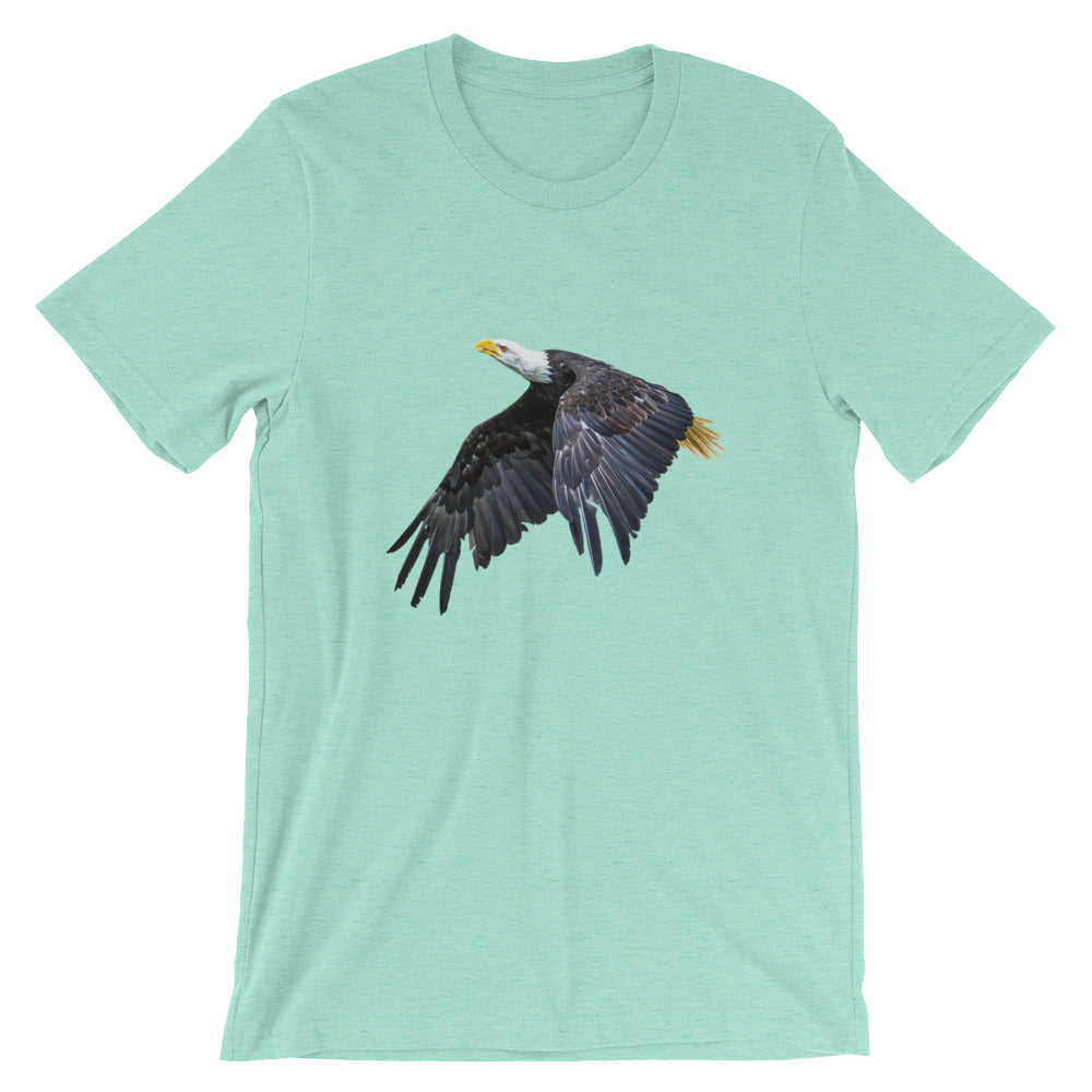 Eagle - Teeznmo