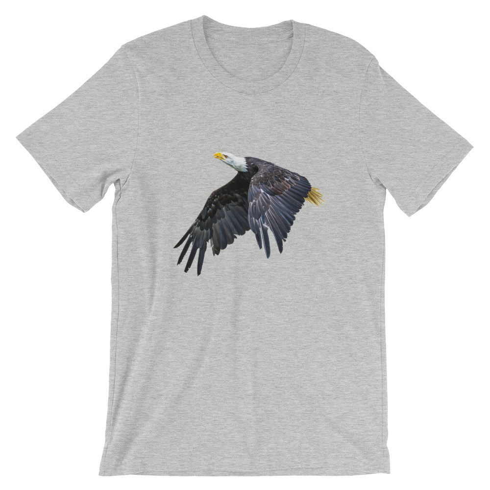 Eagle - Teeznmo
