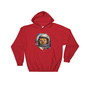Space Kitty - Teeznmo