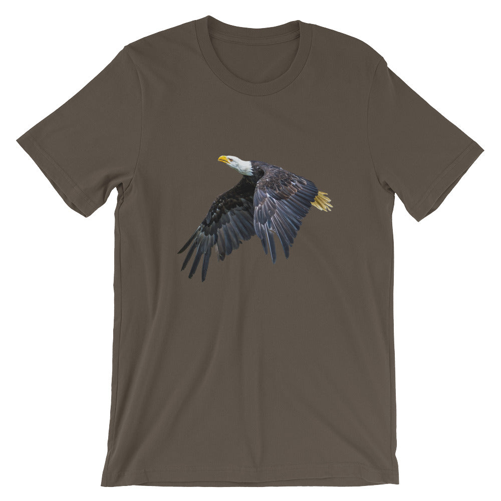 Eagle - Teeznmo