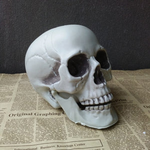 Halloween Decorative Artificial Skull Head