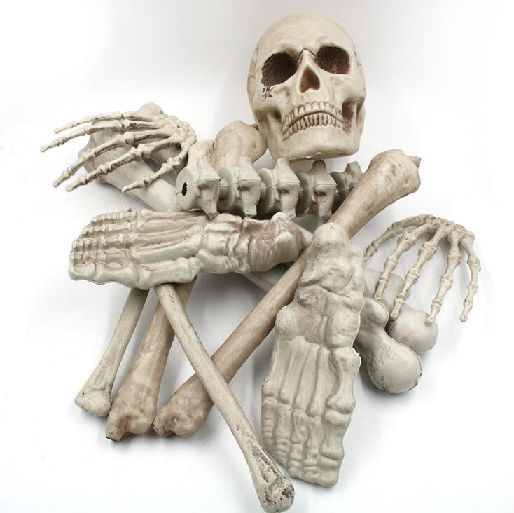 12PCS/SET Skeleton