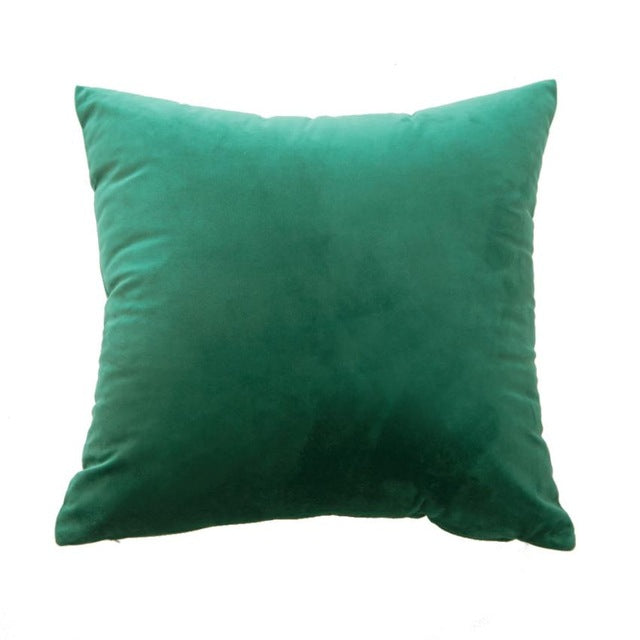 Velvet Pillow/Cushion Cover - Teeznmo