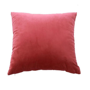 Velvet Pillow/Cushion Cover - Teeznmo