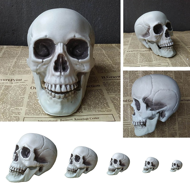 Halloween Decorative Artificial Skull Head