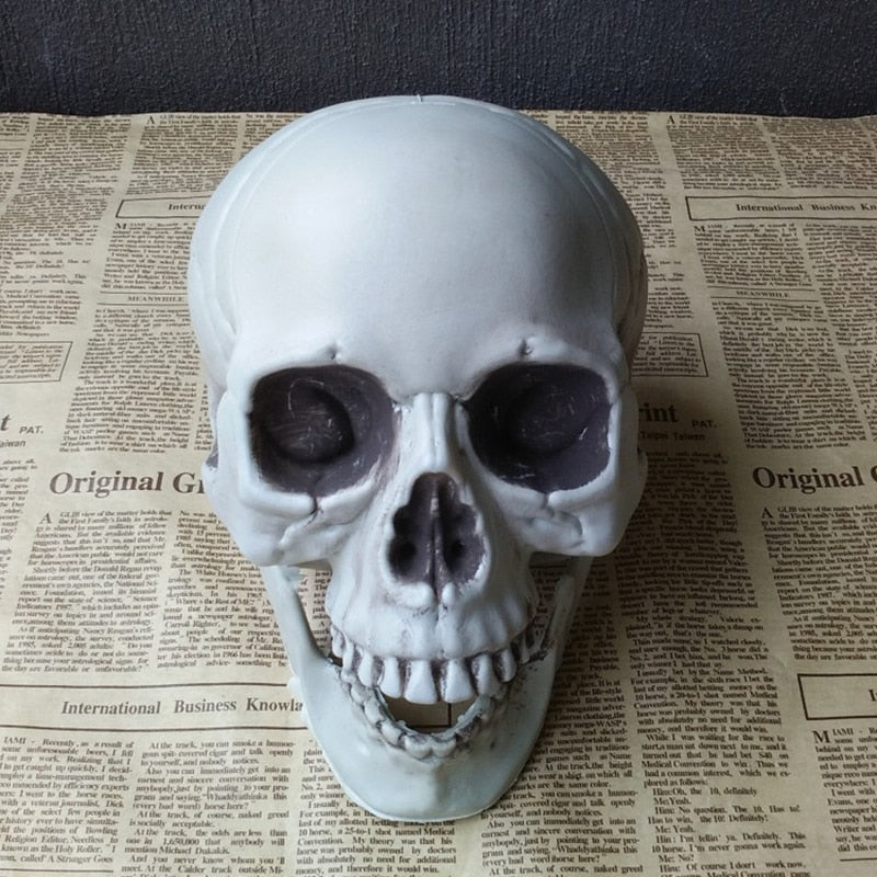 Halloween Decorative Artificial Skull Head