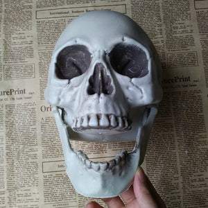 Halloween Decorative Artificial Skull Head